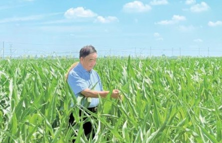 53本筆記，半個(gè)世紀(jì)“糧心”——記時(shí)代楷模、安徽省太和縣種糧大戶徐淙祥