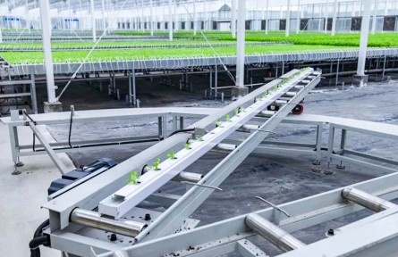 浙江嘉興：“AI+智慧農(nóng)業(yè)”激活現(xiàn)代農(nóng)業(yè)發(fā)展新引擎