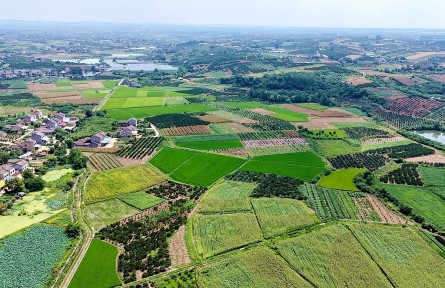 湖北宜昌夷陵區(qū)：高標(biāo)準(zhǔn)農(nóng)田改造 賦能鄉(xiāng)村振興