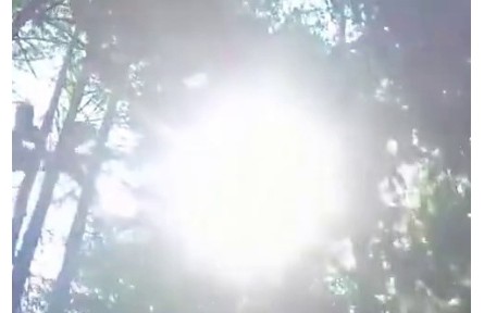 看空山割漆人如何“煉”成“涂料之王”