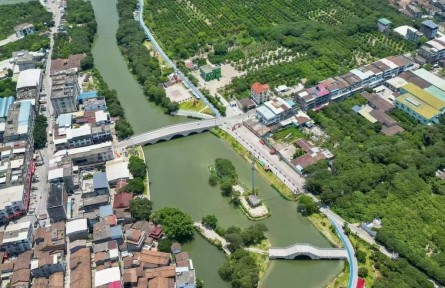 荔林水鄉(xiāng)的綠色蝶變（吳玥）