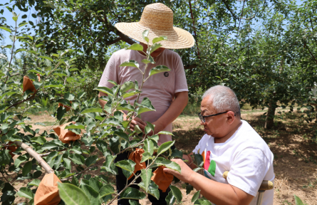 全國自強(qiáng)模范、“瓷娃娃”屈萬平：拄著雙拐的“蘋果CEO”
