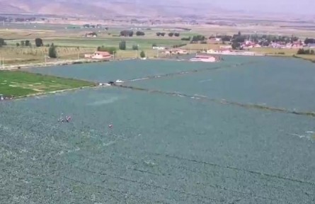 寧夏：“土特產(chǎn)”里的鄉(xiāng)村振興密碼