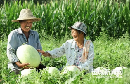 家鄉(xiāng)農產品大學生推薦官｜品牌手記⑧：萬榮三白瓜品牌密碼與青春解碼