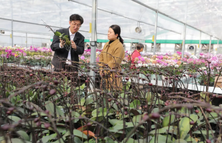 新農(nóng)人 興農(nóng)人|“雙料”博士后楊傳寶的“花花世界”