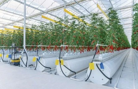 智能溫室里的“開學第一課”