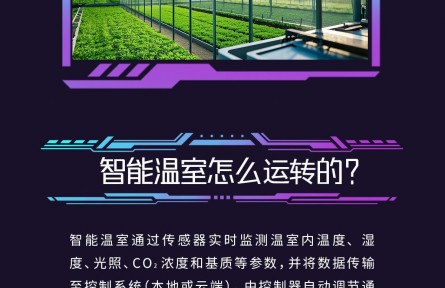 大國糧策|探秘智慧農(nóng)業(yè)——智能溫室與植物工廠