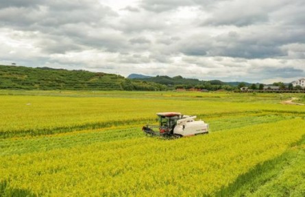 福建三明建寧：構(gòu)建“五子四業(yè)”體系 推動產(chǎn)業(yè)融合發(fā)展