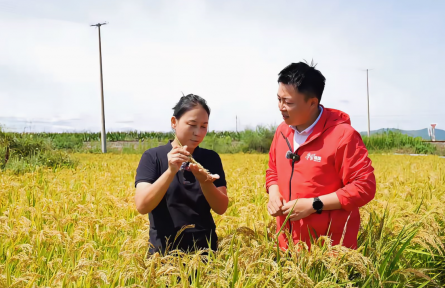黑土地上的逐夢人——記劉春艷的種植專業(yè)農(nóng)場