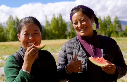 西藏首次！日喀則成功規(guī)?；N植高海拔露地西瓜