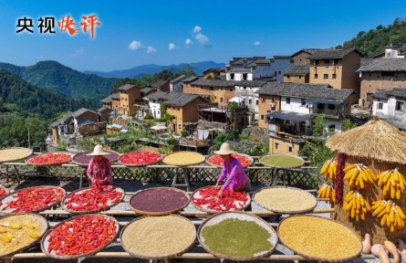 努力建設(shè)宜居宜業(yè)和美鄉(xiāng)村 共同奔向中國(guó)式現(xiàn)代化的美好未來(lái)