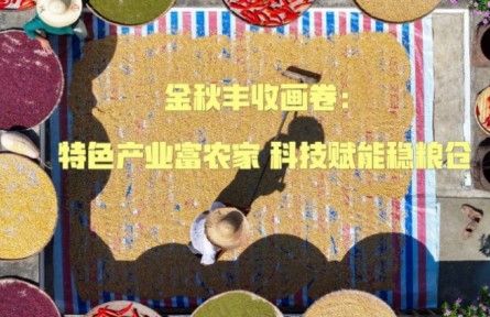 金秋豐收畫卷：特色產(chǎn)業(yè)富農(nóng)家 科技賦能穩(wěn)糧倉