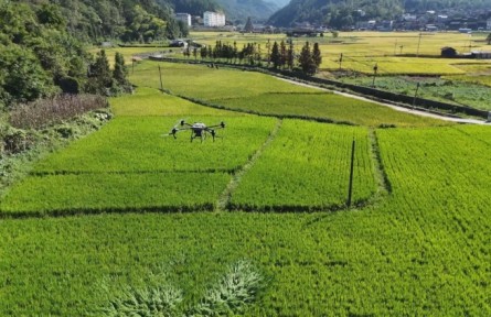 貴州：無人機(jī)智慧助農(nóng) 提高生產(chǎn)效率