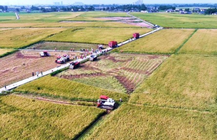 打造更高水平“天府糧倉(cāng)”——四川加快推進(jìn)農(nóng)業(yè)現(xiàn)代化觀察