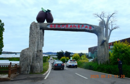 ?家鄉(xiāng)農(nóng)產(chǎn)品大學生推薦官 | 品牌手記?：太谷壺瓶棗:千年“紅釉瓶”般的鄉(xiāng)土珍果