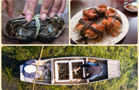 你的秋季時令美食圖鑒已更新