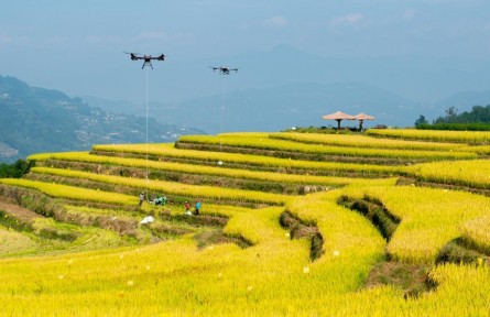 年收入約18萬(wàn)億元!鄉(xiāng)村產(chǎn)業(yè)繪新貌