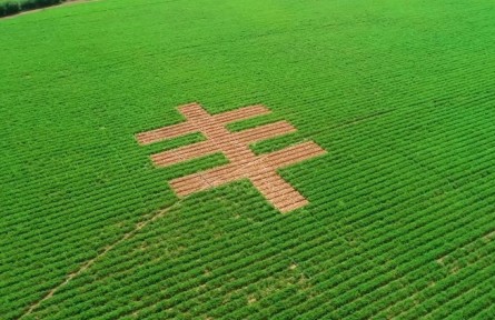 陜西靖邊 塞上糧倉(cāng)