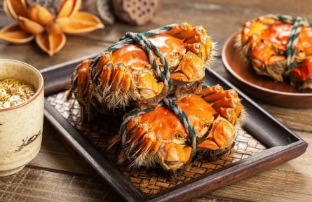 辟謠|剛死的螃蟹，到底能不能吃？