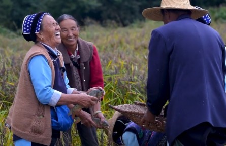 云南洱海之源：稻豐魚(yú)肥 一地雙收