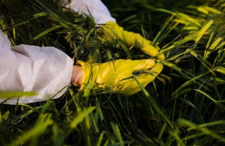 斬?cái)嗵镩g竊密黑手！間諜在我國(guó)搜集農(nóng)作物基因數(shù)據(jù)