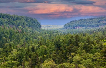 科技名詞|自然保護(hù)區(qū) nature reserve，nature sanctuary